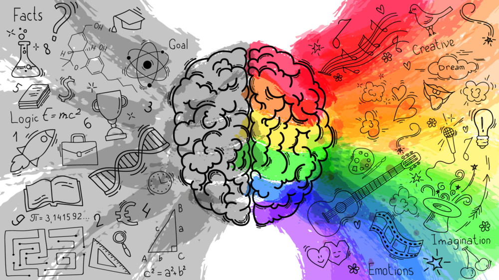 MARCH MADNESS! Welcome to your brain